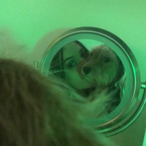 Meet your Posher, Maxine